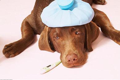 冒险游戏《猩红梦魇》Steam页面上线 第二季度发售